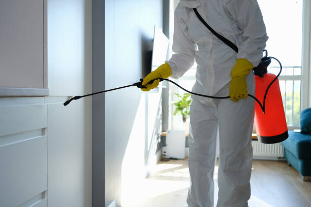 Best Toxic Mold Removal  in Salmon, ID
