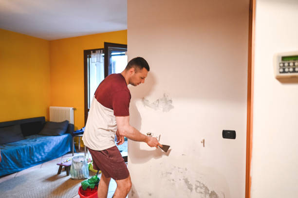 Best Affordable Mold Removal  in Salmon, ID